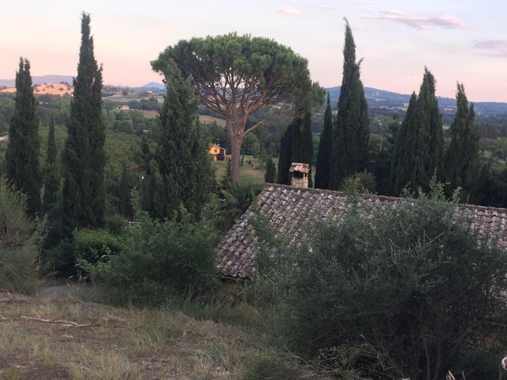 Casale Sant'Elia Bed & Breakfast Capranica Eksteriør bilde