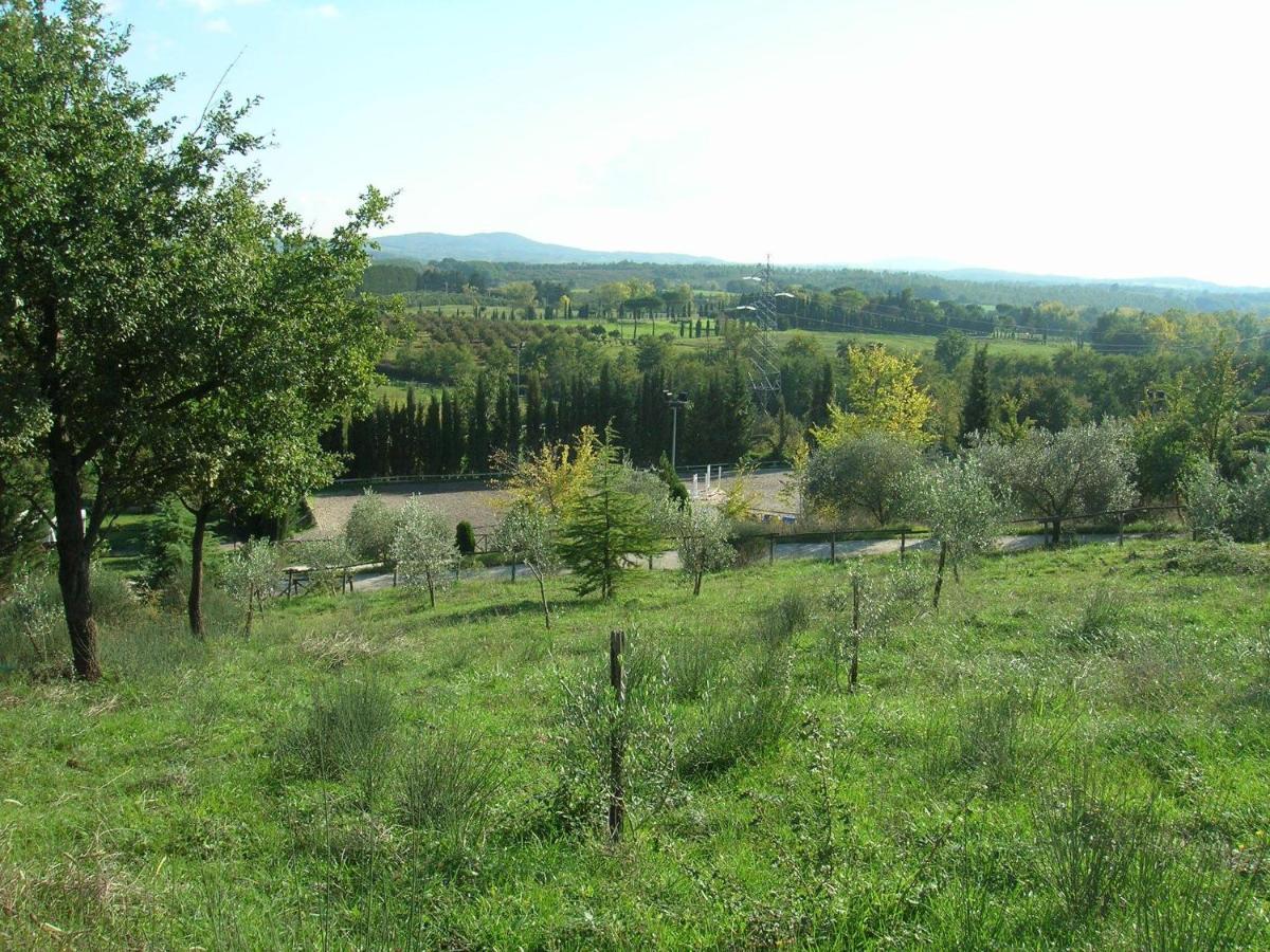 Casale Sant'Elia Bed & Breakfast Capranica Eksteriør bilde